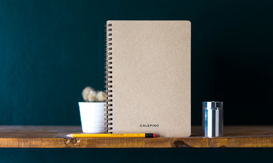 CAHIER DE NOTES: CAHIER DE NOTES, EDITIONS Scolaire, NOTEBOOK EDITIONS ⎮  CARNET DE NOTES (French Edition)